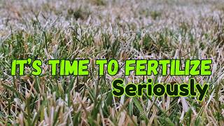 When To Start Fertilizing The Lawn For Spring - Cool Season 