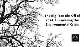 The Big Tree Die-Off of 2024: Unraveling the Environmental Crisis