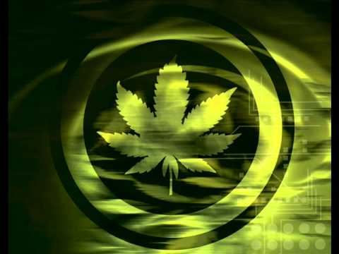 drum&bass.zion faya crew