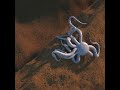 Octopus Like CGI Creature Running Through Sand Houdini FX Simulation Original Video
