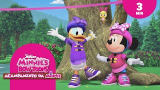 Borboleta em perigo | Minnie Bow Toons, Acampamento da Minnie