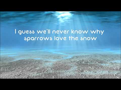 Owl City - The Saltwater Room [HD Lyrics + Description]