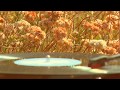 Sea Wolf - White Water, White Bloom vol.3