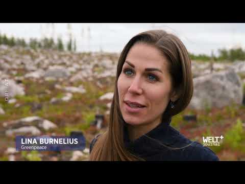 ORF WELTjournal: Abgeholzt - Europas bedrohte Urwälder