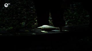 Откриха старо взривно устройство в чанта на метри от Младeжкия център в Хасково