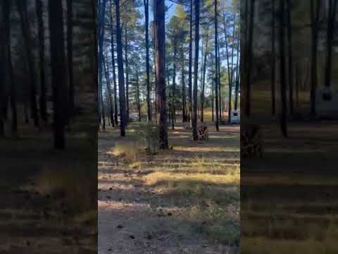 sites available for big rigs with large open sites