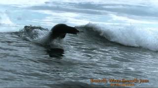 Peter White - Bright HD ♫♫♫♫♫ Smooth JAZZ_(720p).mp4