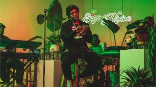Curren$y EightyVybe  &quot; Gold &amp; Chrome&quot; &quot; White Ashes&quot; &quot;Cutlass Cathedrals&quot;