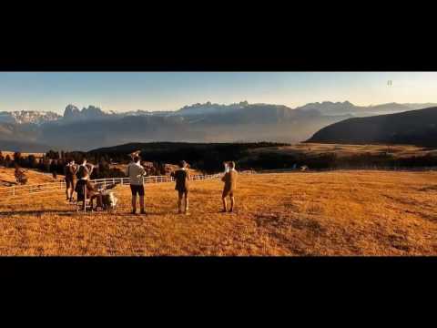 Trailer Sunnseit Brass - Sunnroat; are you gonna be my girl