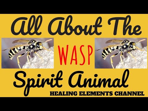 image-Does a wasp have a purpose?