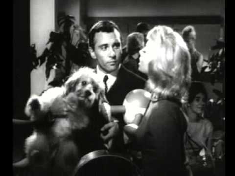 Asti spumante Cinzano - Cin Cin Cinzano 2 - caccia al tesoro