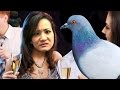 Hatoful Boyfriend: THE DRINKING GAME! 