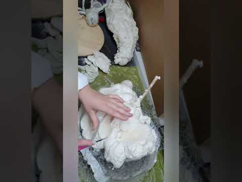 Unterwasser Welt aus Zement Teil 1, Entstehung des Korallen Riffs.