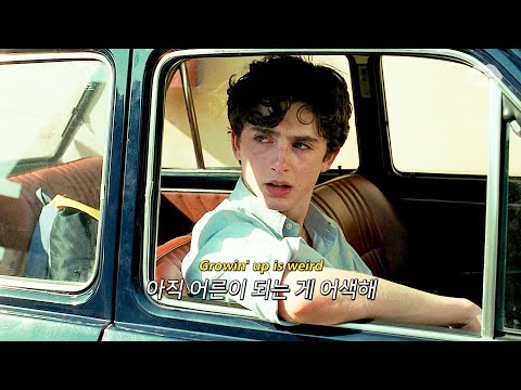 Timothée Chalamet X Ruel - GROWING UP IS ____ (lyrics)