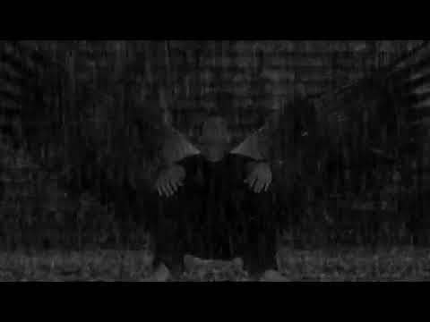 Shocky-vergissmeinnicht