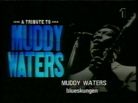 A Tribute To Muddy Waters 1998 Kennedy Center