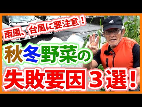  8月には何を植えますか？季節の主役野菜や花々にズームアップ！  庭園