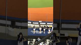 【CT AMAZE】PREMIER12 台湾VSドミニカ@台北大巨蛋20241114 #台湾チア #cheerdance #cheerleading #amaze #啦啦隊 #premier12