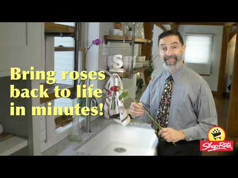 How to bring roses back to life