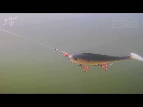 Eastfield Viper rigged on The System Shallow Screw with The Stinger with BKK uvo....