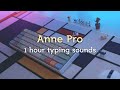 Anne Pro 1 Hour Keyboard Typing Sounds ASMR (No talking, No music, No mid-roll ads)