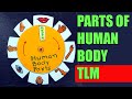 Human Body Body Parts Art And Craft For Preschool