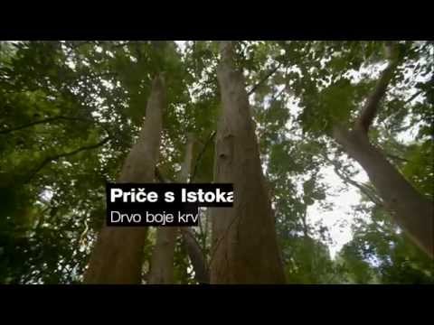 Priče s istoka 115 - Drvo boje krvi - Subota 17:00