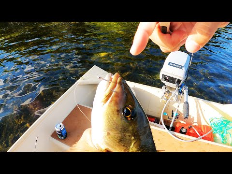 I get BIT by a fish & BREAK a Gopro | catch and cook