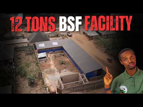 Inside a 12-Ton Black Soldier Fly Facility: Powering a 40,000-Fish Farm & Feed Processing Plant