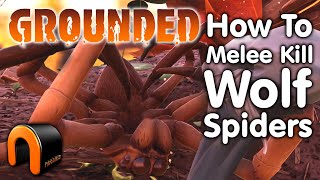 GROUNDED How to Kill A Wolf Spider #Grounded