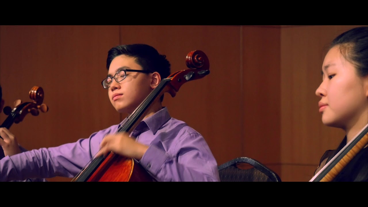 Bizet Carmen (Allegro giocoso) played by the Ponticelli cello quartet