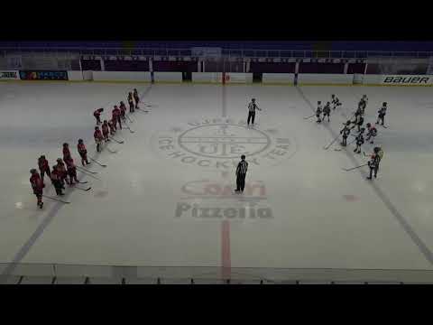 Sportországi Cápák Utánpótlás Jégkorong