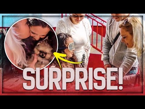 Andjelino iznenadjenje za 18. rodjendan - Banja Luka vlog