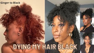 Dying My Natural Hair Jet Black at Home | Ginger to Black 2022
