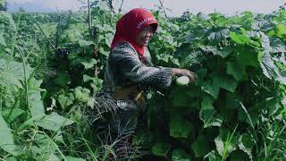 Video Desa 2