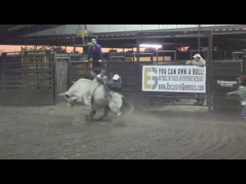 2010 DERBY/CLASSIC BULL 623 CRUNCH TIME