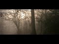 Nikon D5200 Cinematic Image Test How To In Description Nikon Hacker Patch Flaat 11