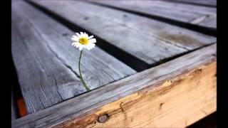 Smoking Popes - Into The Summer Sky