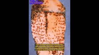 Download lagu Surat dari Rasulullah untuk Raja Kisra || #shorts mp3