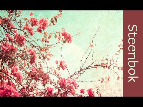 STEEKBOK Juni 2022 - Het breken met de kettingen