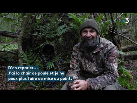 Vincent, le cerf le plus majestueux du Jura dans le viseur d'un photographe.