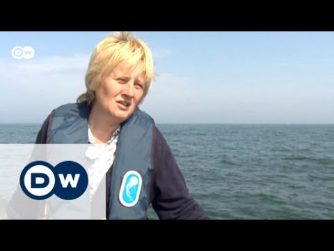 Sind die Meere noch zu retten? | Projekt Zukunft