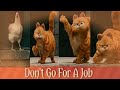 Vadivelu No Job Comedy In Cat Version Whatsapp Status In Tamil