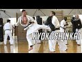 French Kyokushin Champion training