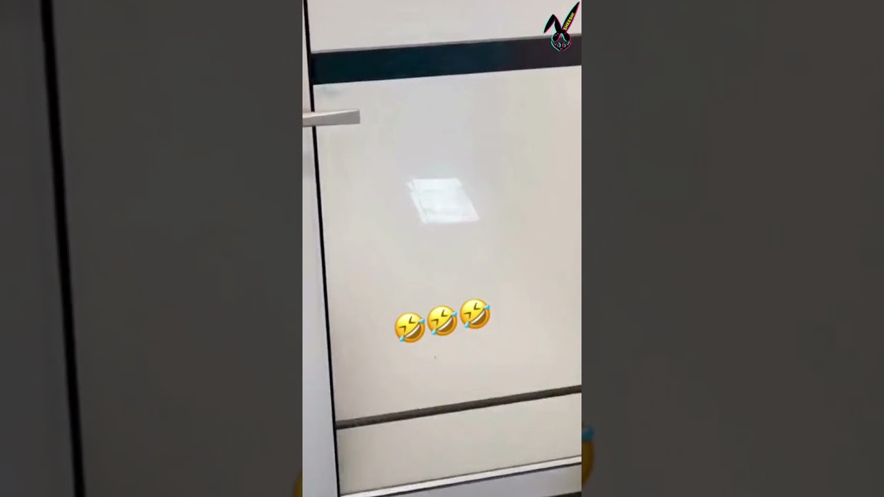 Pig Going To Toilet 🐷 TikTok | Funny animals pet tiktok Video