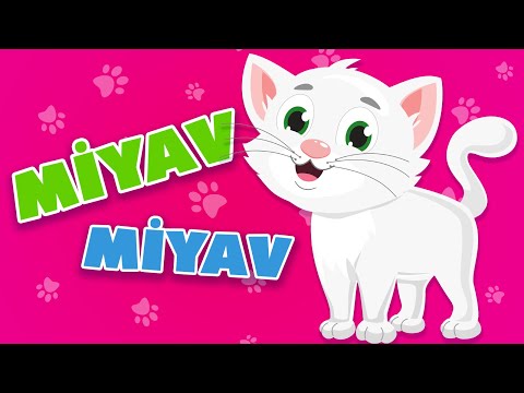 Kedicim Miyav Miyav Der - Kedicim Benden Ne İster | Eğlenceli Çocuk ve Bebek Şarkıları | Çizgi Film