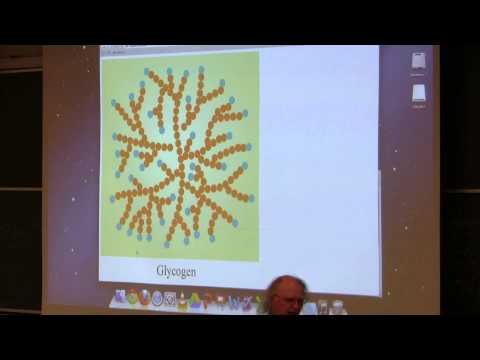 Kevin Ahern's BB 350 (Glycogen Metabolism) 2014 - #29