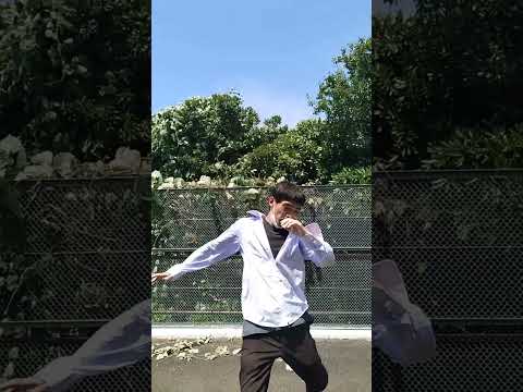 宮拳法カーフキック