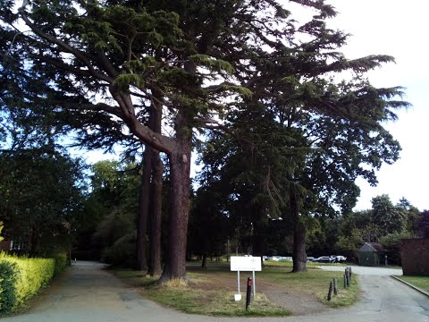 Les Wheeldon: Revelation session 1