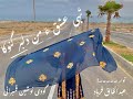 Thai Ishaq Ha Man Dilbar Ganoka Abdul Khaliq Farhad Nosheen Qambarani New Balochi Song 2021